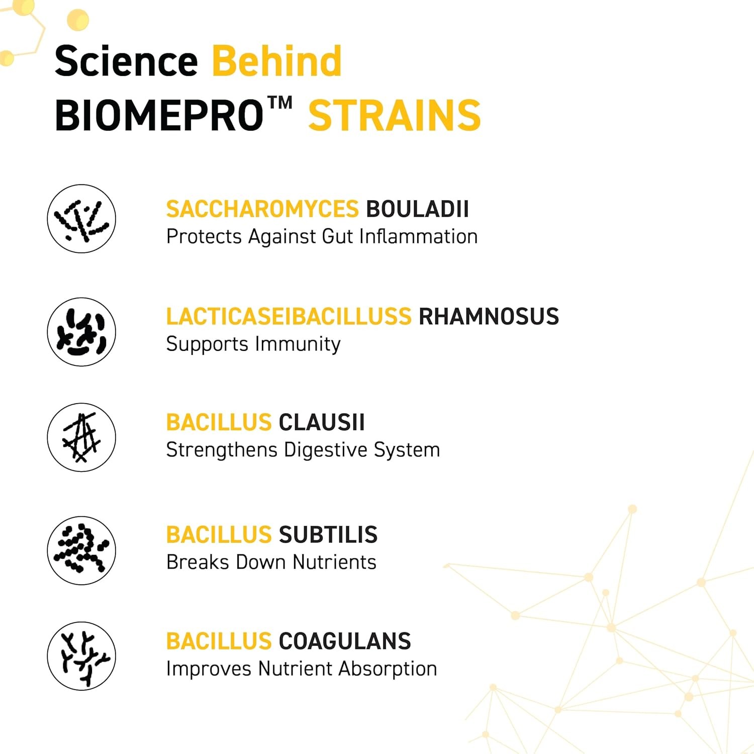 MUSCLE BLAZE GOLD 100% WHEY - 1000 Gram/SWEETENED  CHOCOLATE HAZELNUT